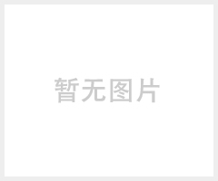 SEW增量式编码器卡DEH11B